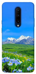 Чехол Summer landscape для OnePlus 7 Pro
