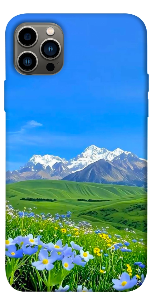 Чехол Summer landscape для iPhone 12 Pro