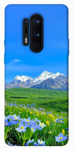 Чехол Summer landscape для OnePlus 8 Pro
