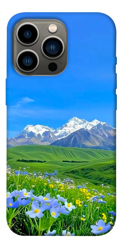Чехол Summer landscape для iPhone 13 Pro