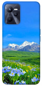 Чехол Summer landscape для Realme C35