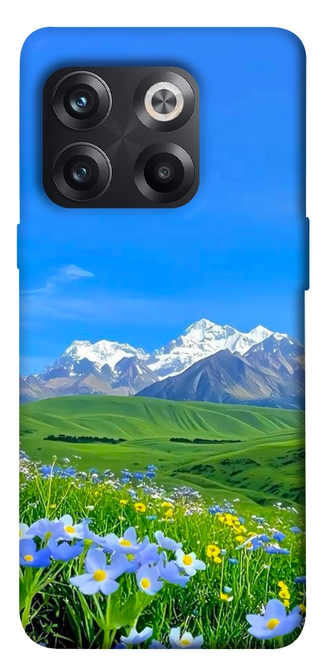 Чохол Summer landscape для OnePlus 10T