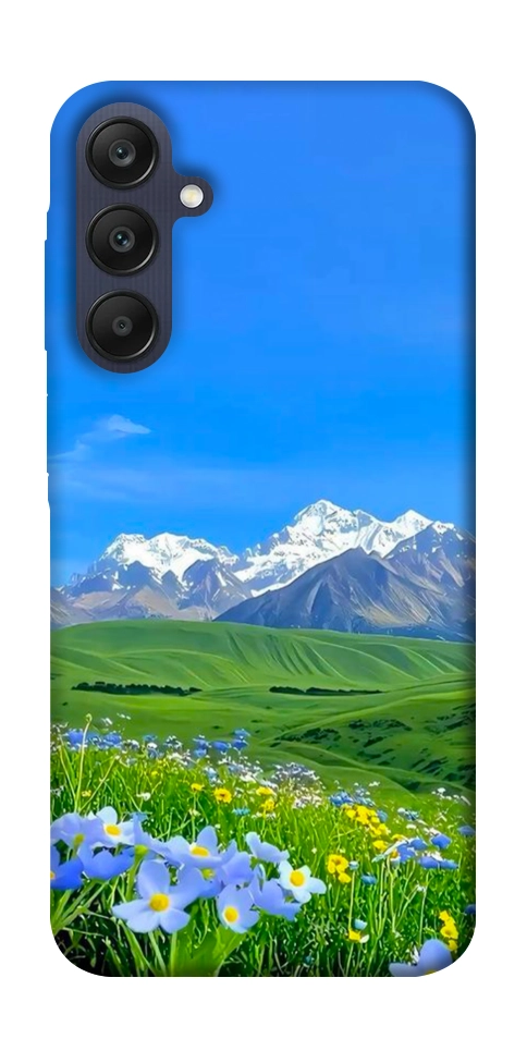 Чехол Summer landscape для Galaxy A25 5G