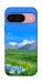 Чохол Summer landscape для Google Pixel 9