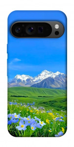 Чохол Summer landscape для Google Pixel 9 Pro