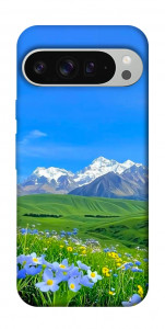 Чехол Summer landscape для Google Pixel 9 Pro XL