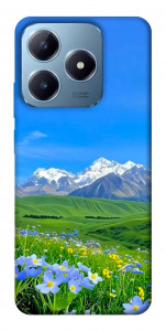 Чехол Summer landscape для Realme C63 4G