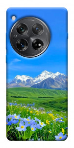 Чехол Summer landscape для OnePlus 12