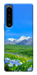 Чехол Summer landscape для Sony Xperia 1 IV