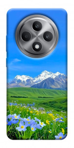 Чехол Summer landscape для Oppo Reno 12 F 4G