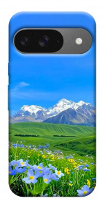 Чехол Summer landscape для Google Pixel 10 Pro