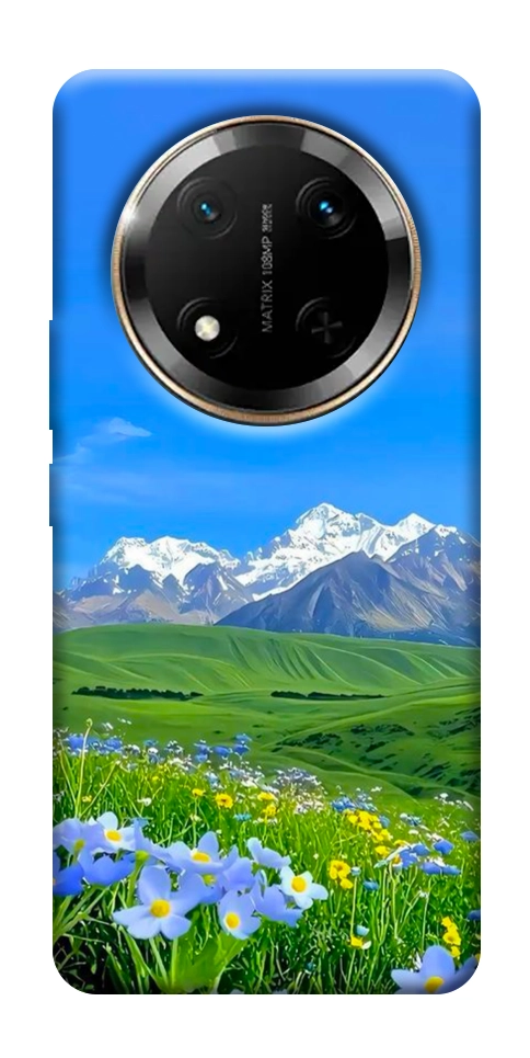 Чехол Summer landscape для Huawei Honor X9c