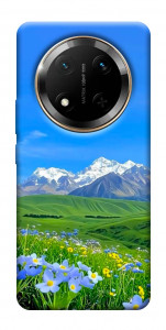 Чехол Summer landscape для Huawei Honor X9c