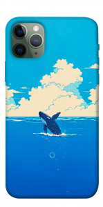 Чехол Whale view для iPhone 11 Pro