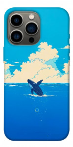 Чохол Whale view для iPhone 13 Pro