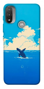 Чехол Whale view для Motorola Moto E20