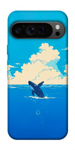 Чохол Whale view для Google Pixel 9 Pro