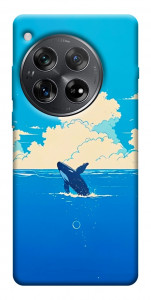 Чехол Whale view для OnePlus 12