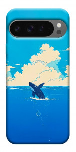 Чохол Whale view для Google Pixel 10 Pro XL