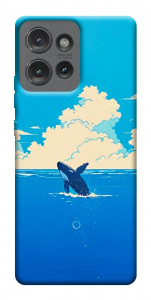 Чехол Whale view для Motorola Edge 50
