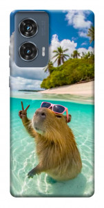 Чехол Сapybara vacation для Motorola Edge 50 Fusion