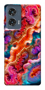 Чехол Corals для Motorola Edge 50 Fusion