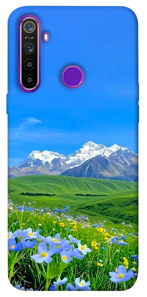 Чехол Summer landscape для Realme 5