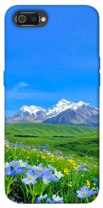 Чохол Summer landscape для Realme C2