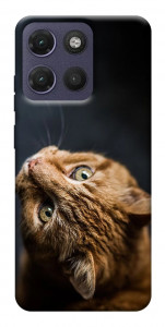 Чохол Рудий кіт для Motorola Moto G17
