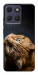 Чохол Рудий кіт для Motorola Moto G17