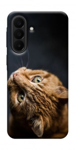 Чехол Рыжий кот для Galaxy A27