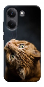 Чехол Рыжий кот для Xiaomi Poco X8 Pro