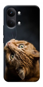 Чехол Рыжий кот для Xiaomi Poco X8 Pro Max
