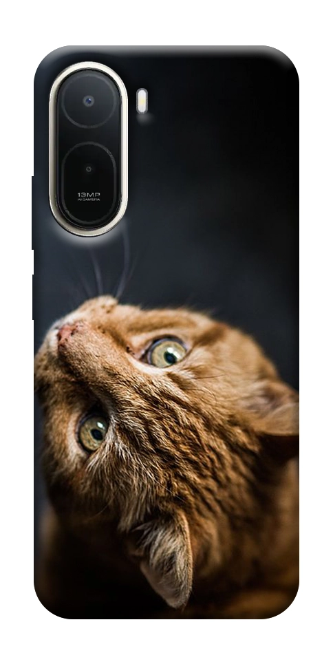 Чохол Рудий кіт для Xiaomi Redmi A7 Pro 4G