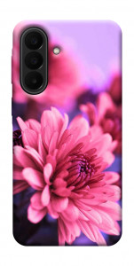Чехол Нежная хризантема для Galaxy A27