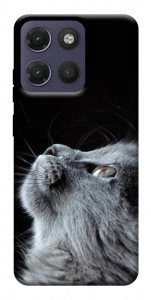 Чохол Cute cat для Motorola Moto G17