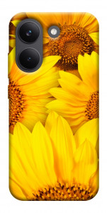 Чехол Букет подсолнухов для Xiaomi Poco X8 Pro