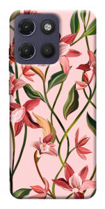 Чохол Floral motifs для Motorola Moto G17