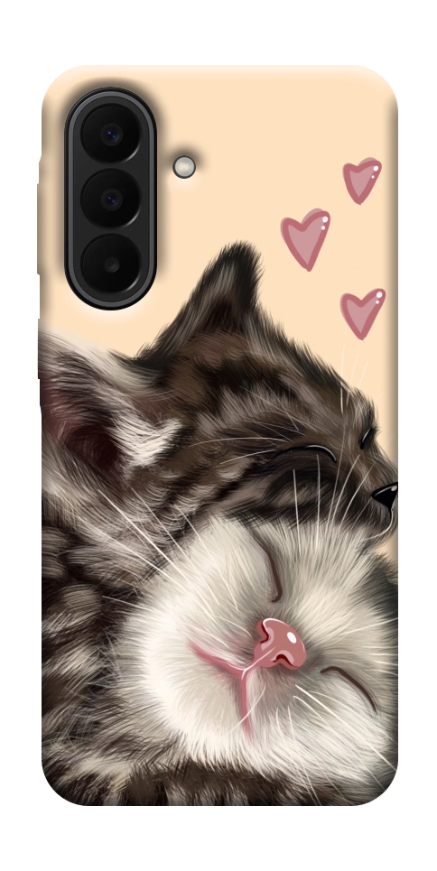 Чехол Cats love для Galaxy A27