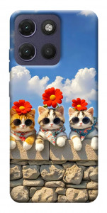 Чохол Flower cats для Motorola Moto G17