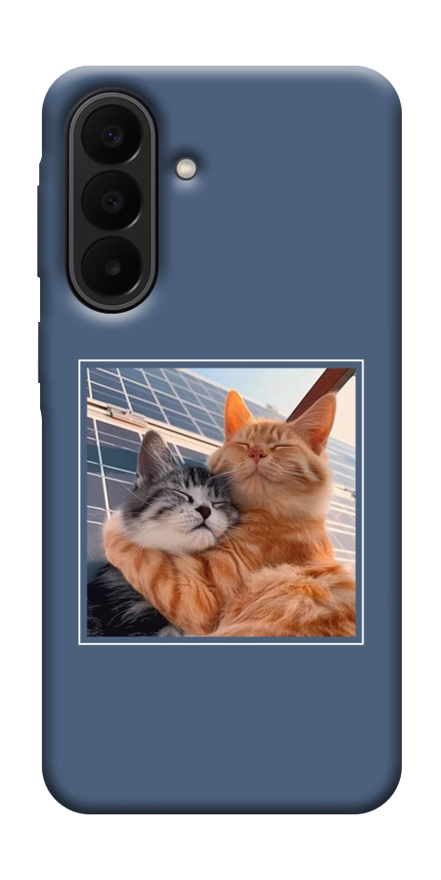 Чехол Кошачья нежность для Galaxy A27