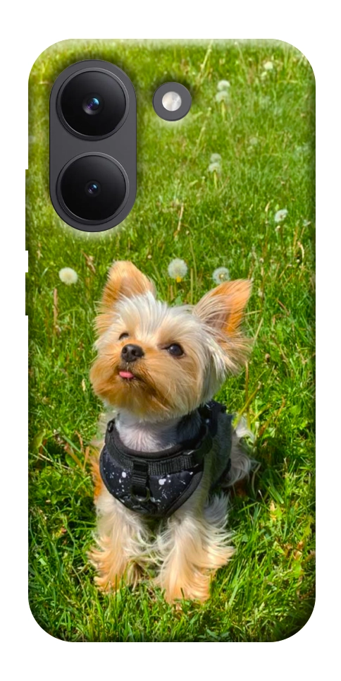 Чехол Йорк в траве для Xiaomi Poco X8 Pro