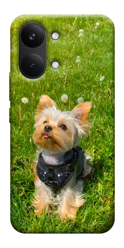 Чехол Йорк в траве для Xiaomi Poco X8 Pro Max