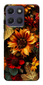 Чохол Autumn vibe для Motorola Moto G17