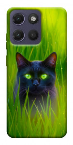 Чохол Cat in the grass для Motorola Moto G17