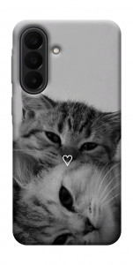 Чехол Grey cats для Galaxy A27