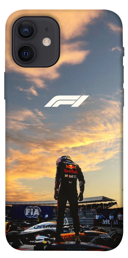 Чехол Sunset Champion для iPhone 12