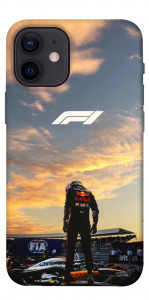Чехол Sunset Champion для iPhone 12 mini
