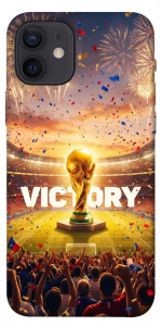 Чехол Football victory для iPhone 12