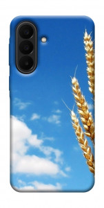 Чехол Пшеница для Galaxy A27
